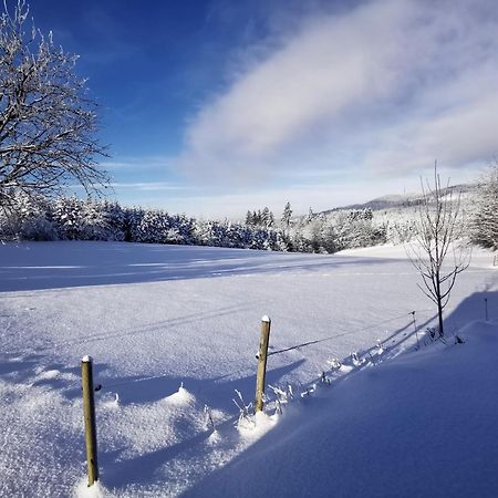 Auszeit, Erholung Mitten In Der Natur - Ferienhaus Im Sauerland In Faulebutter Finnentrop Eksteriør bilde