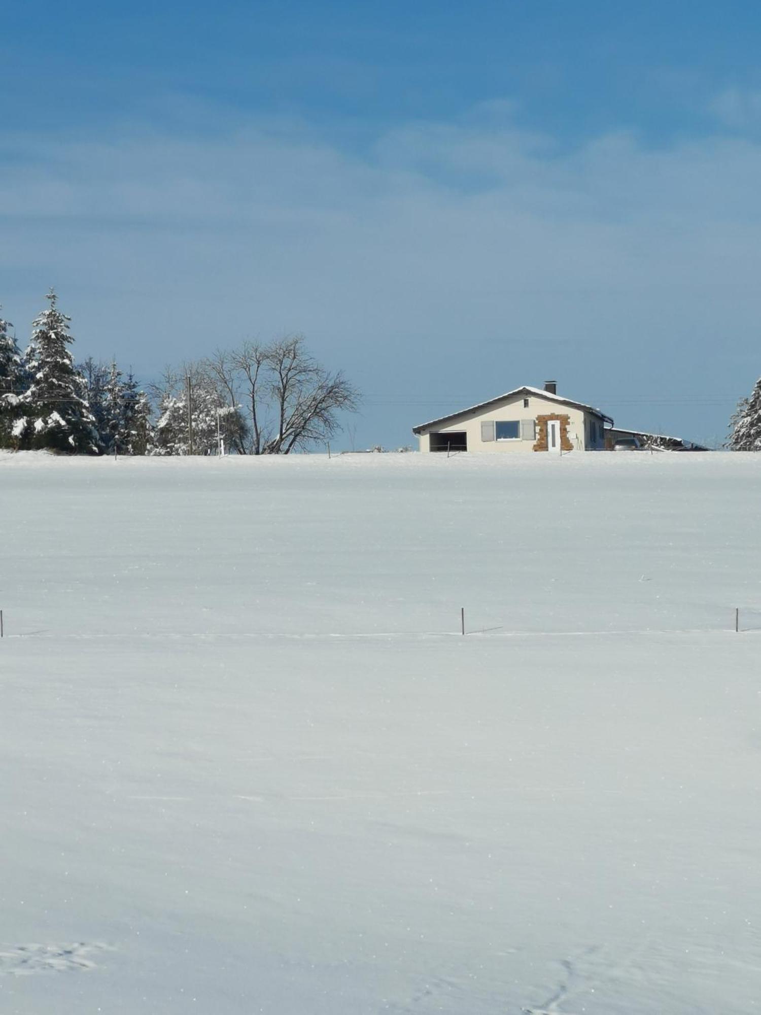Auszeit, Erholung Mitten In Der Natur - Ferienhaus Im Sauerland In Faulebutter Finnentrop Eksteriør bilde