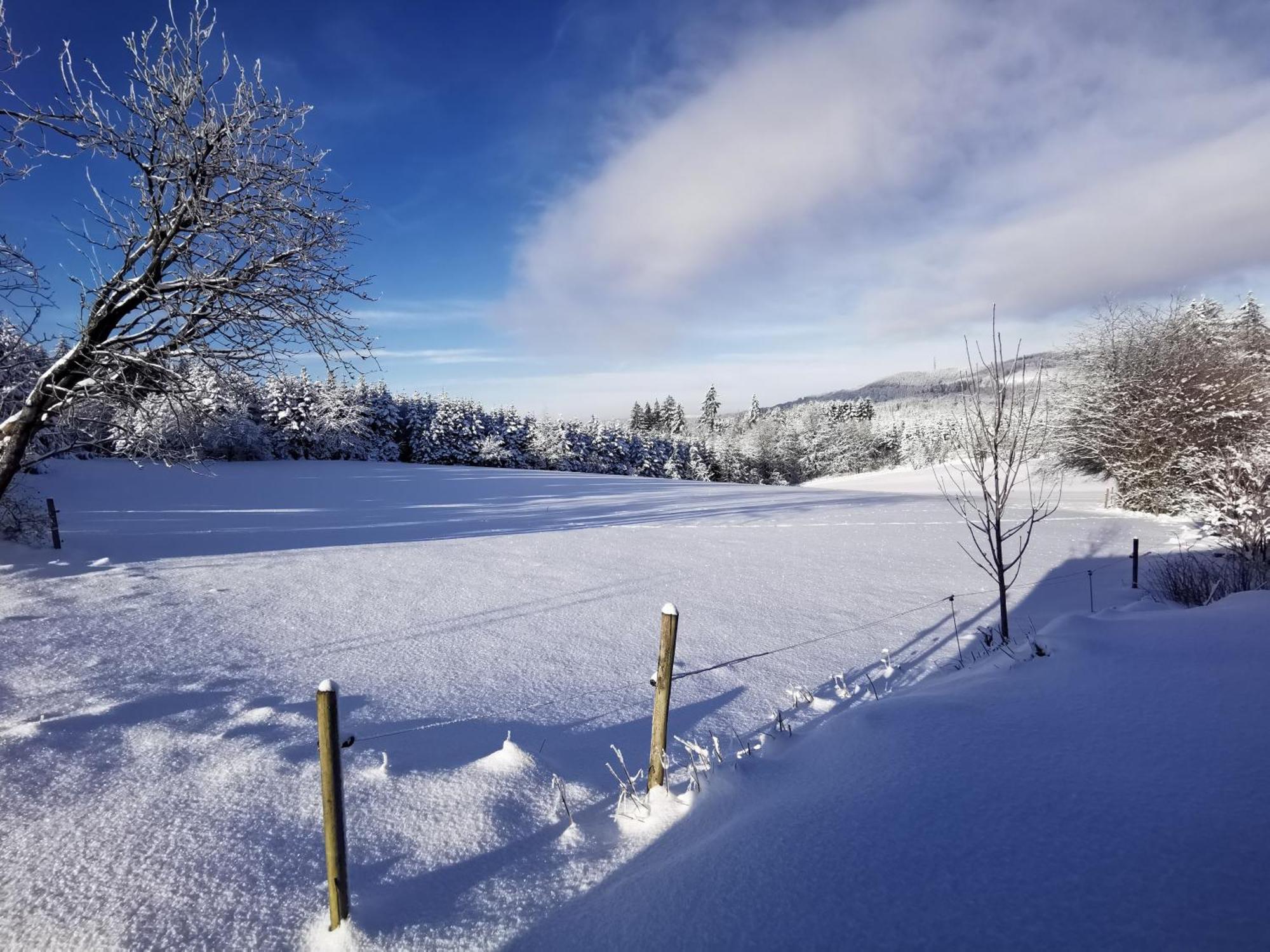 Auszeit, Erholung Mitten In Der Natur - Ferienhaus Im Sauerland In Faulebutter Finnentrop Eksteriør bilde